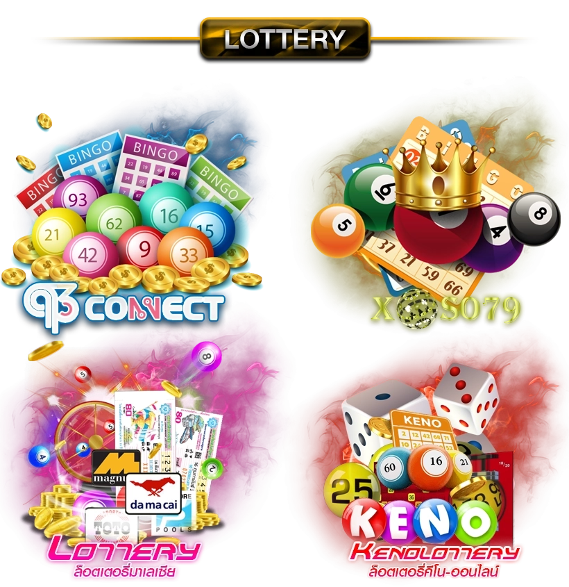  repee55 banner-banner-lotto